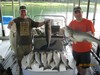 (08/25/2018) - Nice Striped Bass